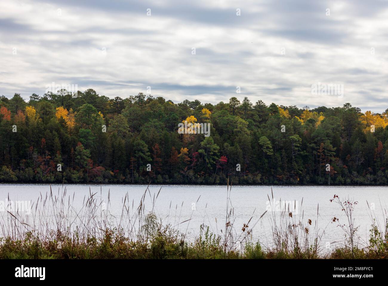 A scenic view of a lake against autumn trees at Cheraw State Park in