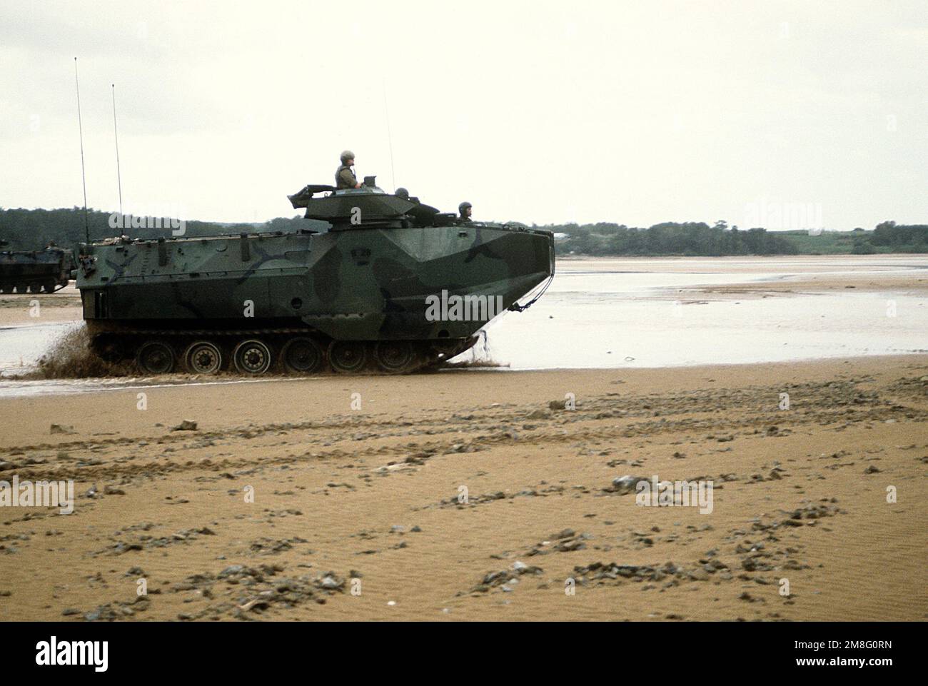 Marine Corps Base, Camp Smedley D. Butler. An AAV-7A1 amphibious assault vehicle of the 1ST Armored Assault Battalion (AABN), 3rd Marine Division, moves across the beach after coming ashore during a combat training exercise at the Central Training Area (CTA). State: Okinawa Country: Japan (JPN) Stock Photo