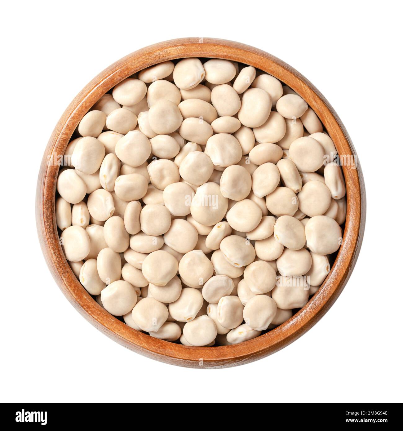 Dried sweet lupin beans, in a wooden bowl. Also known as white lupin or field lupine. Seeds of Lupinus albus, with low content of antinutrients. Stock Photo