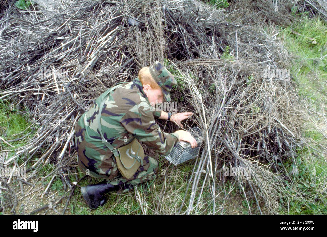 Rodent Problem Army Hospital Corpsman Cones sets a rodent trap as part of preventive ...