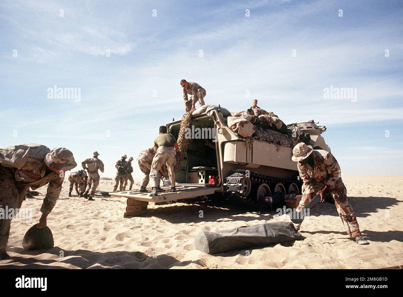 Members of the 1ST Plt., Co. D, Amphibious Assault Bn., 2nd Marines, remove camouflage netting from an AAV-7A1 amphibious assault vehicle during an Operation Imminent Thunder training exercise, a part of Operation Desert Shield. Subject Operation/Series: IMMINENT THUNDERDESERT SHIELD Country: Saudi Arabia (SAU) Stock Photo