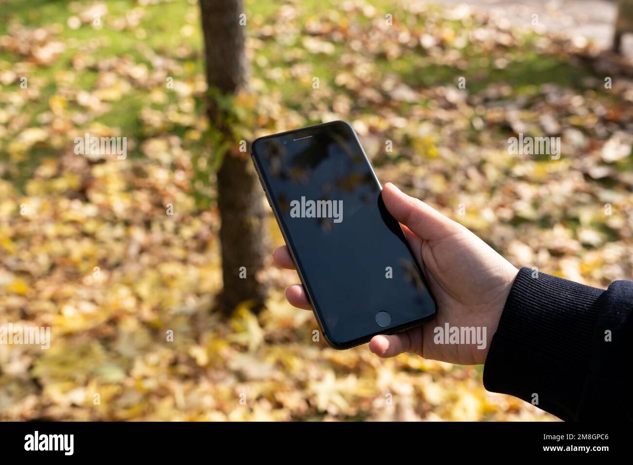 Woman hand holding smartphone. Black empty screen for mock up. Modern cellphone technology concept. Stock Photo