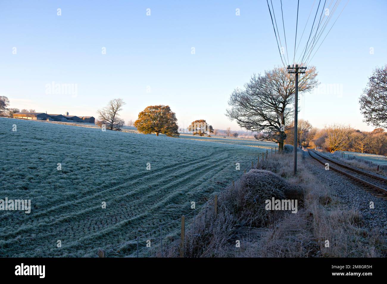 Frosty winter scenes near Tenterden, Kent, UK Stock Photo