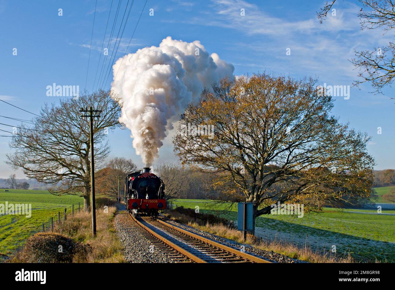 Austerity saddle tank 0-6-0 steam locomotive hauls a train up the steam incline between Rolvenden and Tenterden on the Kent & East Sussex Railway, UK Stock Photo