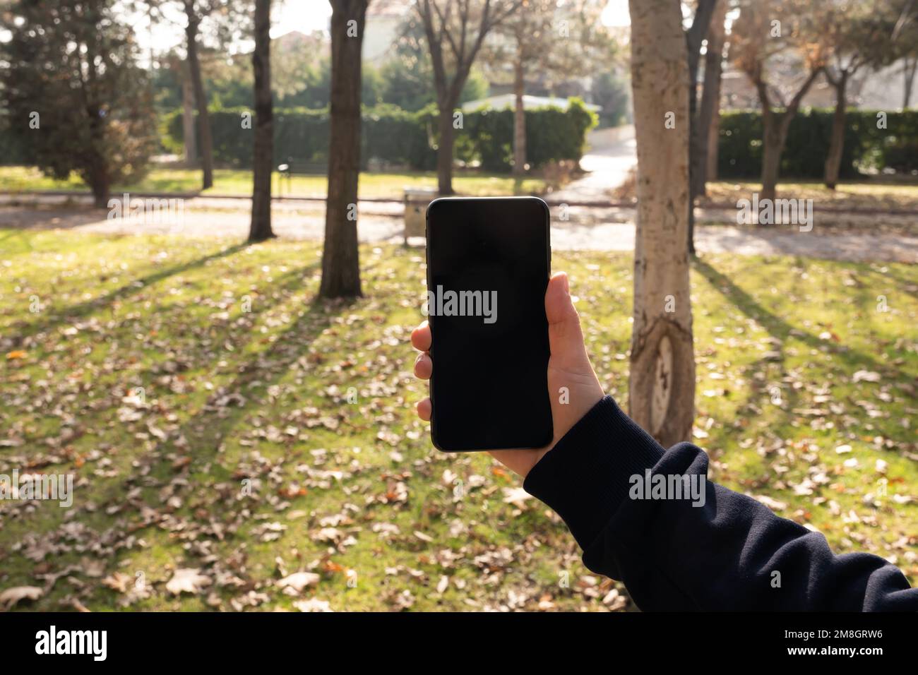Holding smartphone. Showing black empty screen for mock up. Outdoor at the park on autumn. Application, web page, video call, recommendation concept. Stock Photo