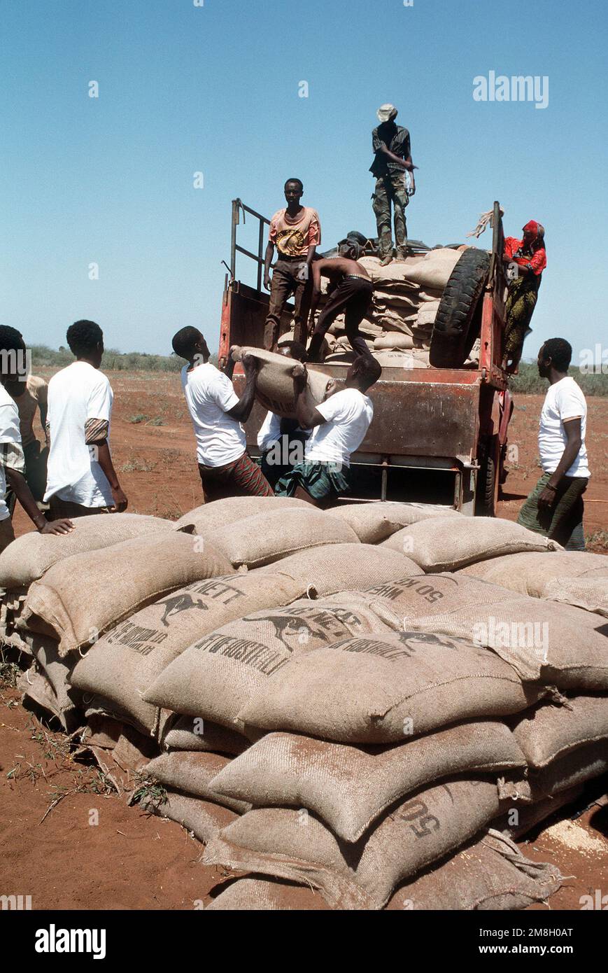 Men from the village of Maleel load bags of wheat onto a local truck during the multinational relief effort OPERATION RESTORE HOPE. The grain, donated by Australia, was flown in by Marine Heavy Helicopter Squadron 363 (HMH-363) instead of driven by truck convoy because it is suspected that the raods to the village have been mined. Subject Operation/Series: RESTORE HOPE Country: Somalia (SOM) Stock Photo