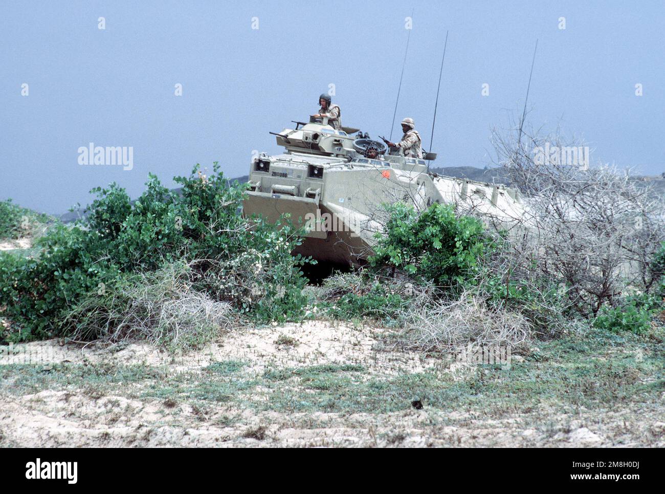 A 15th Marine Exeditionary Unit AAV-7A1 amphibious assault vehicle drives through some brush during the multinational relief effort Operation Restore Hope. Base: Modadishu Country: Somalia (SOM) Stock Photo