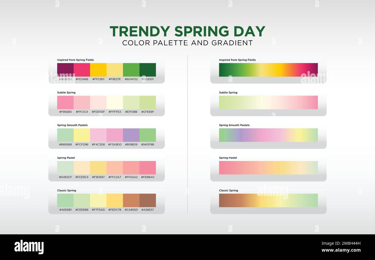 Spring Color Palette and Gradient Stock Vector