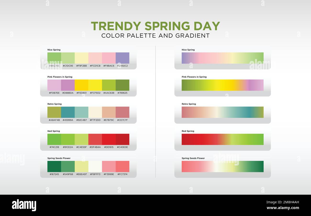 Spring Color Palette and Gradient Stock Vector