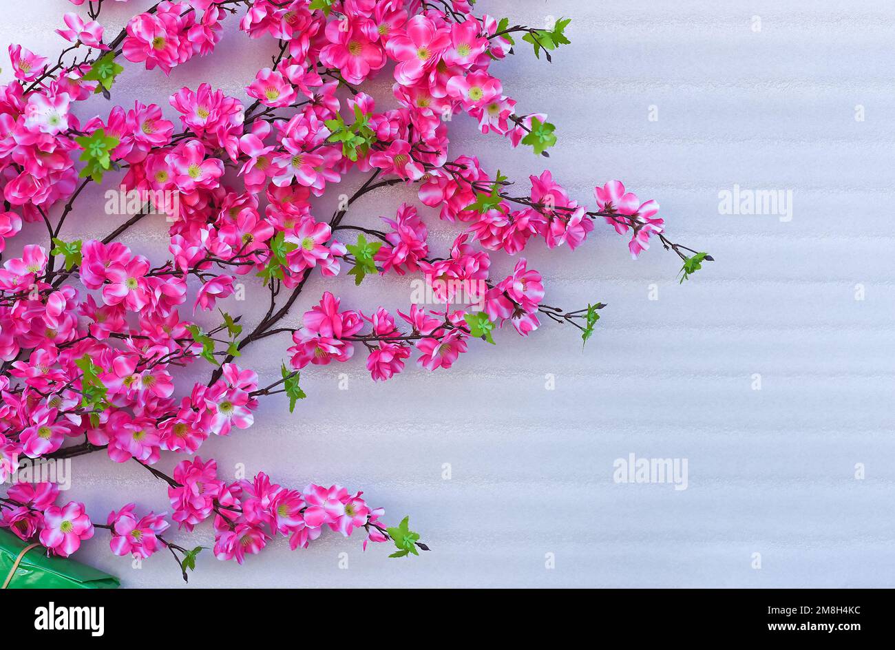 Pink flowers decoration for Tet Lunar New Year Stock Photo
