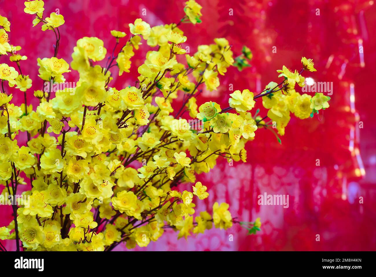 decoration and yellow flowers for Tet Lunar New Year Stock Photo