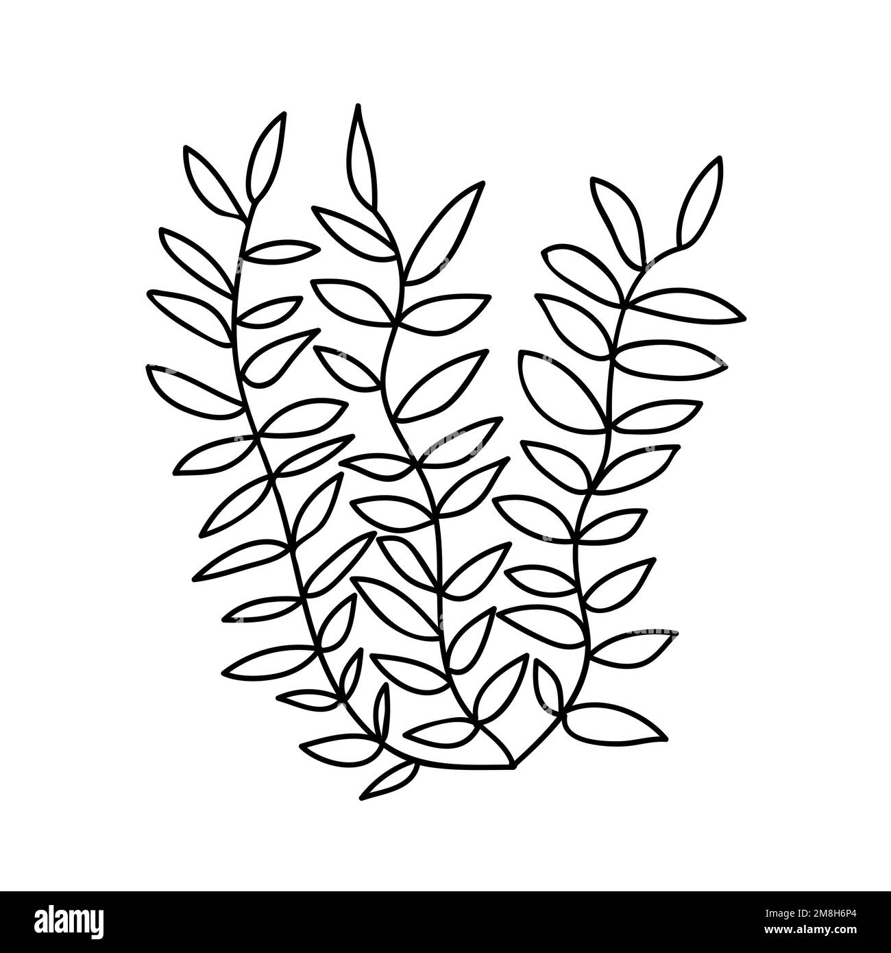 Seaweed vector doodle illustration Stock Vector Image & Art - Alamy