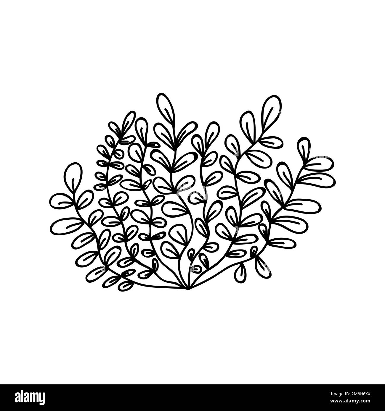 Seaweed vector doodle illustration Stock Vector Image & Art - Alamy