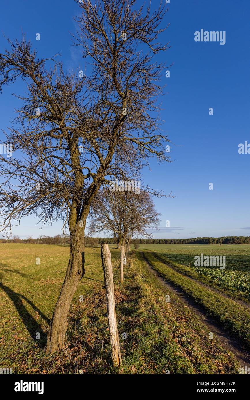 Demarcate field hi-res stock photography and images - Alamy