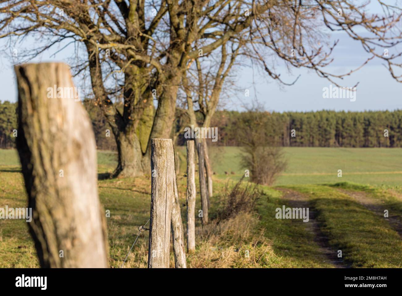 Demarcate field hi-res stock photography and images - Alamy