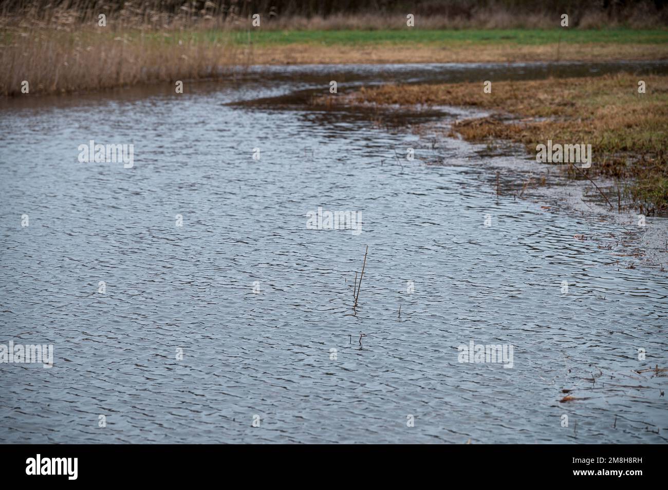 Itzgrund, Germany. 14th Jan, 2023. A meadow is flooded with water