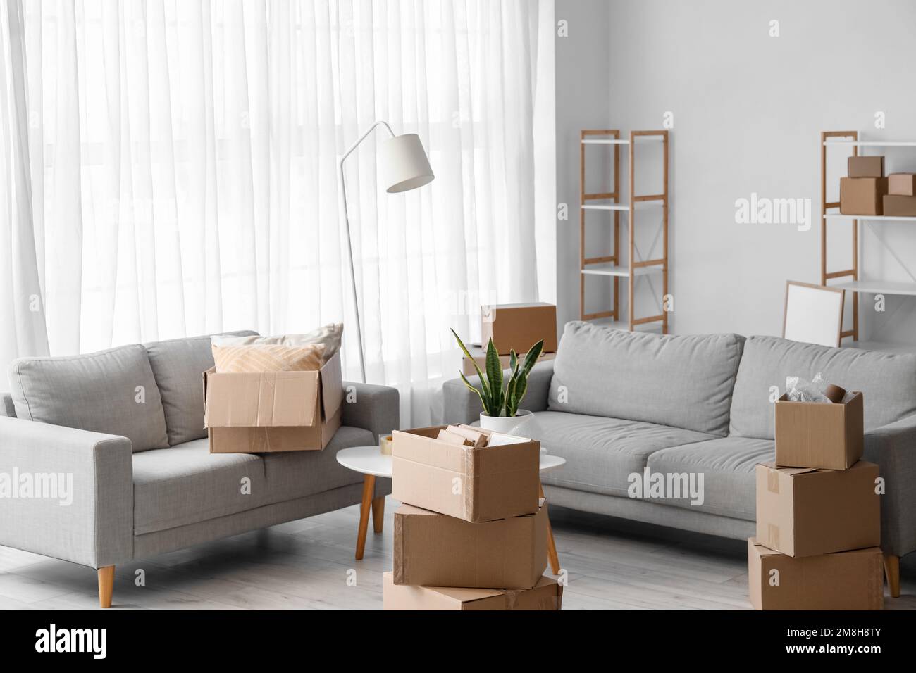 Cardboard boxes with table, sofas and shelving unit in living room on