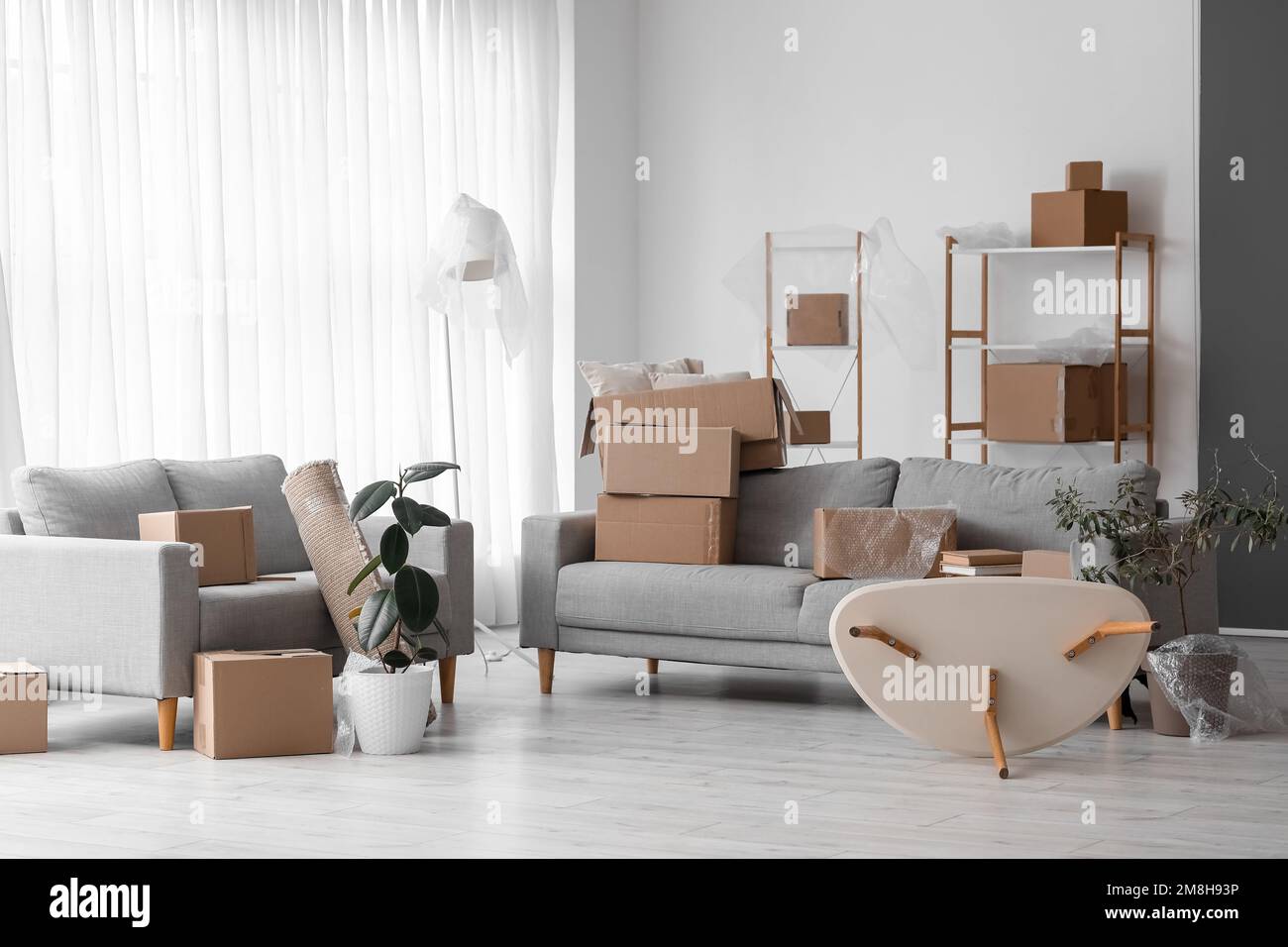 Cardboard boxes with sofas in living room on moving day Stock Photo Alamy