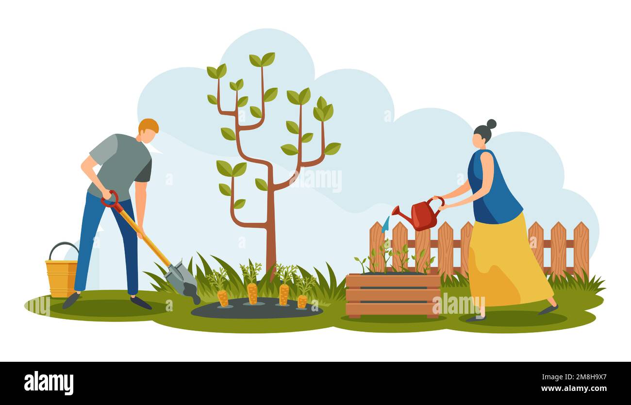 People characters working in garden. Man digging carrot with shovel, woman watering plants. Young couple growing harvest Stock Vector