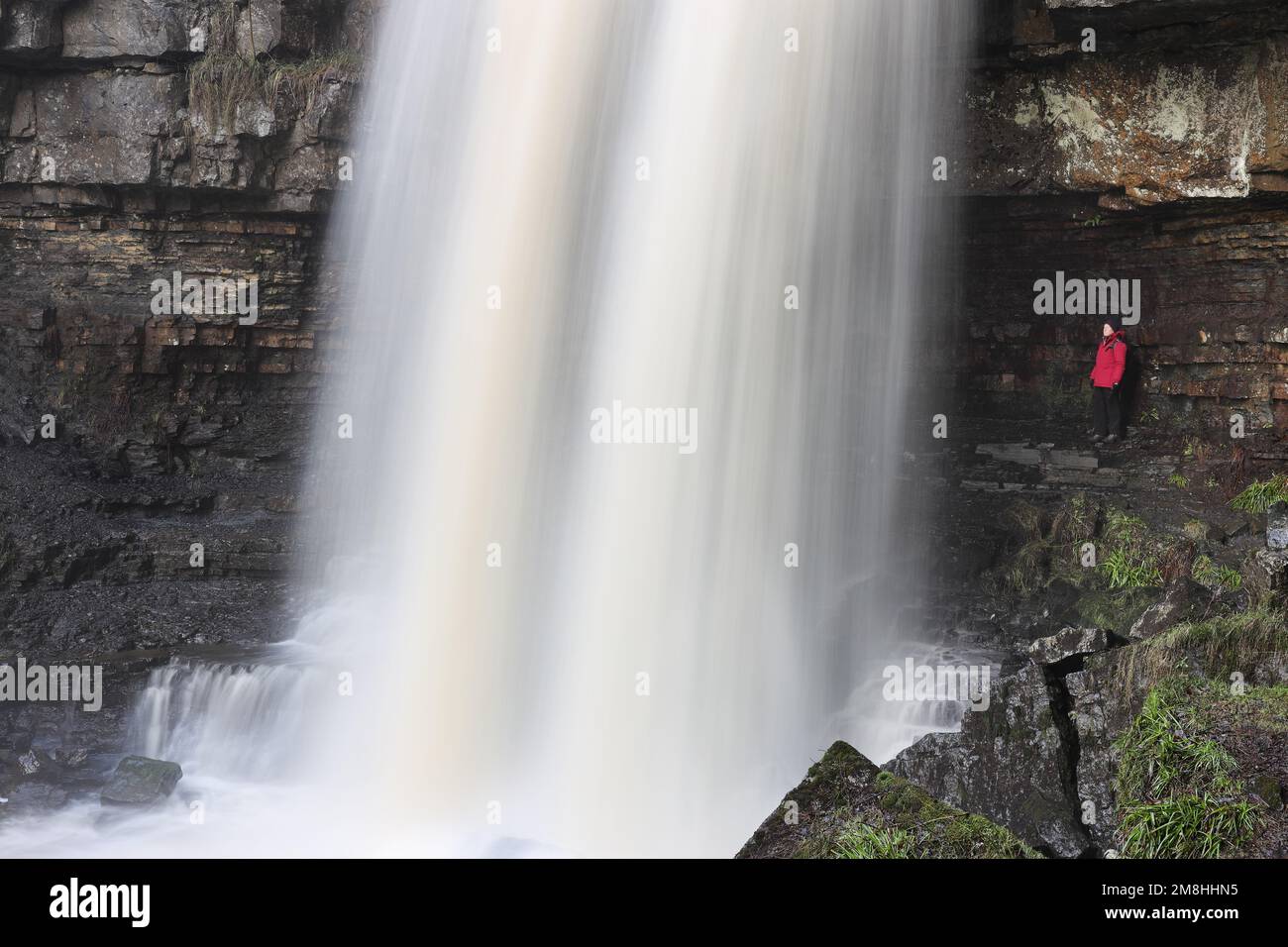 Ashgill Force, Garrigill, Cumbria, UK. 14th January 2023. UK Weather. Walkers enjoy the spectacle of floodwater thundering over Ashgill Force after heavy overnight rain hit Cumbria. Credit: David Forster/Alamy Live News Stock Photo