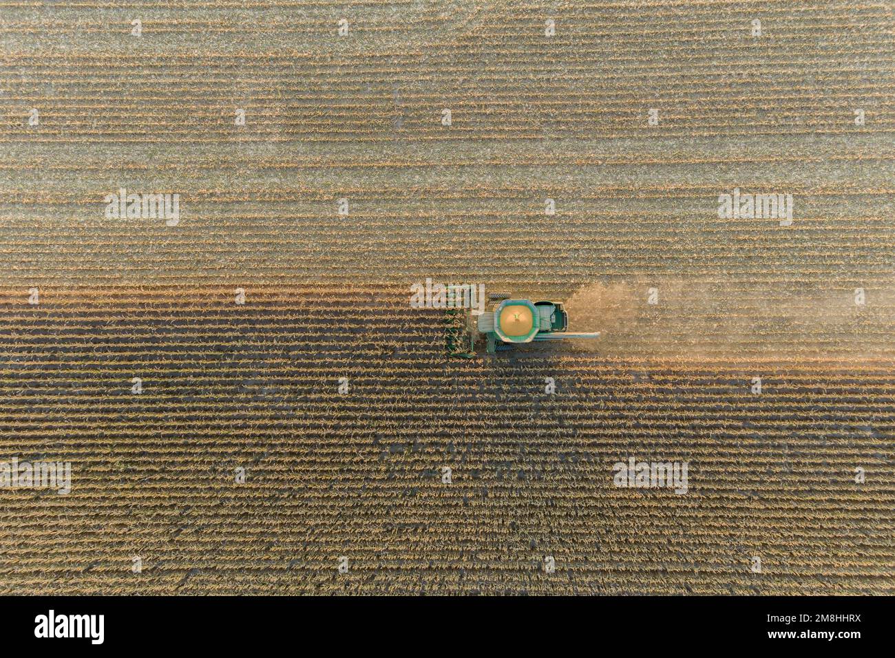 Corn field usa harvesting hi-res stock photography and images - Alamy