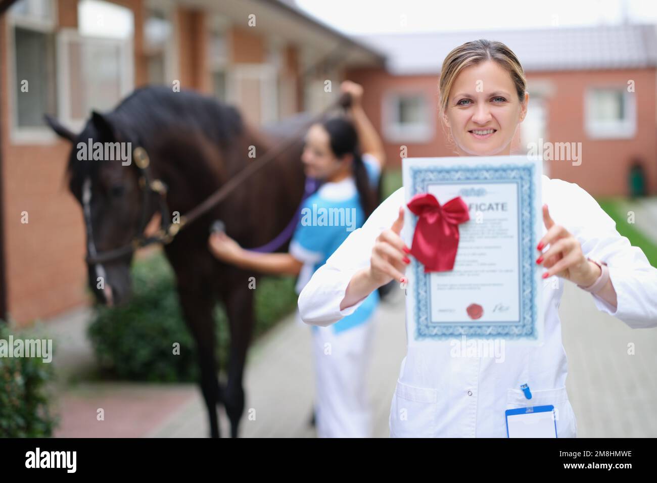 Woman veterinarian holds medical certificate for horse Stock Photo Alamy