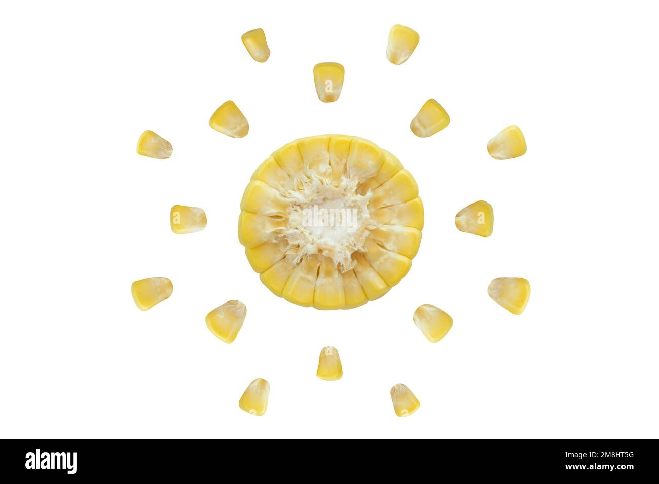 Cross section corn and grains on isolated white background Stock Photo