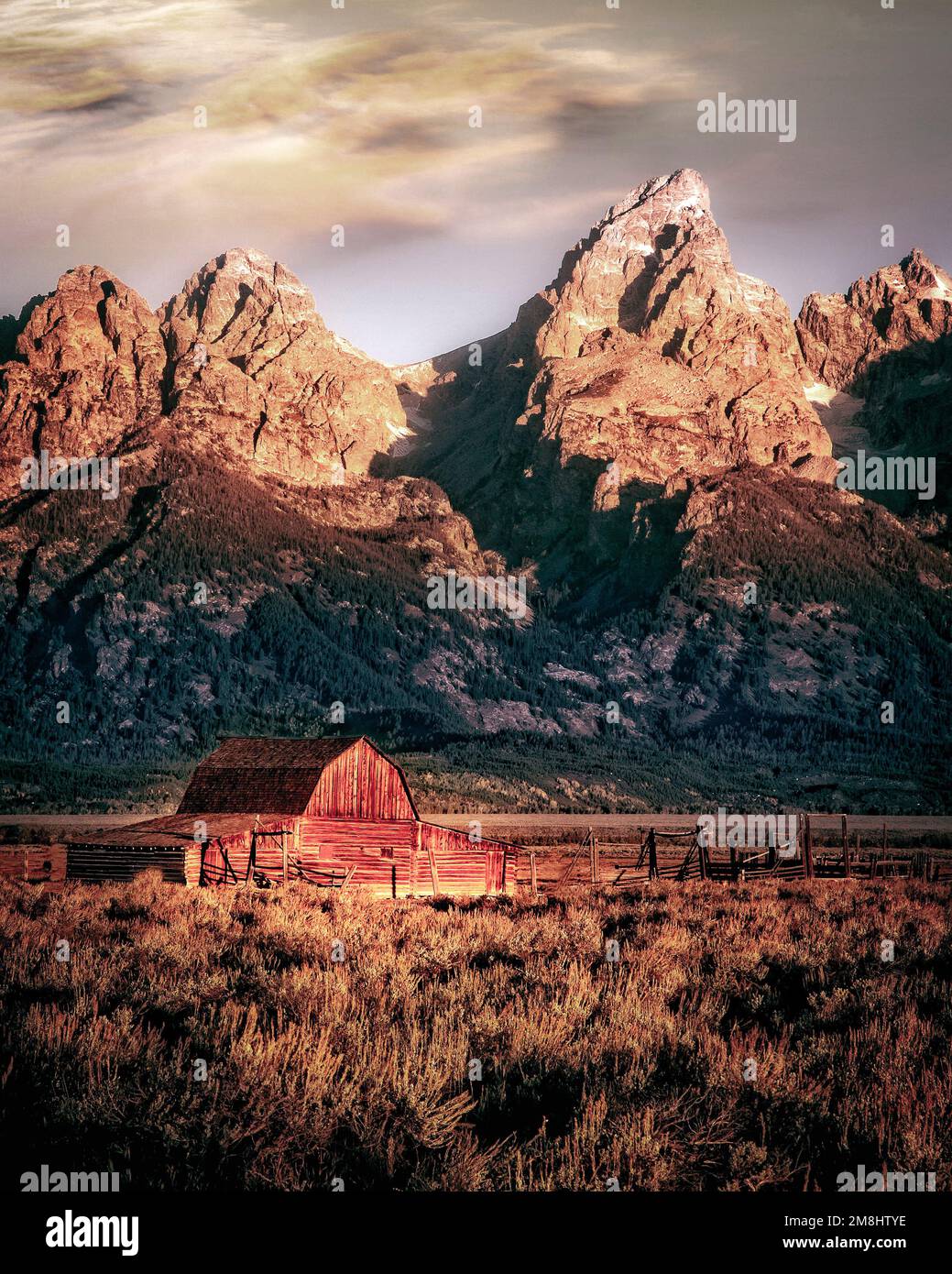 The historic John Moulton barn still stands on Mormon row near Grand Teton National Park. Wyoming. Stock Photo