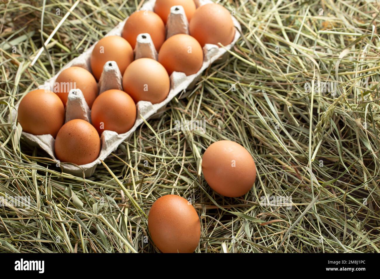 Chicken eggs in a tray and in hay. Farming concept. Stock Photo