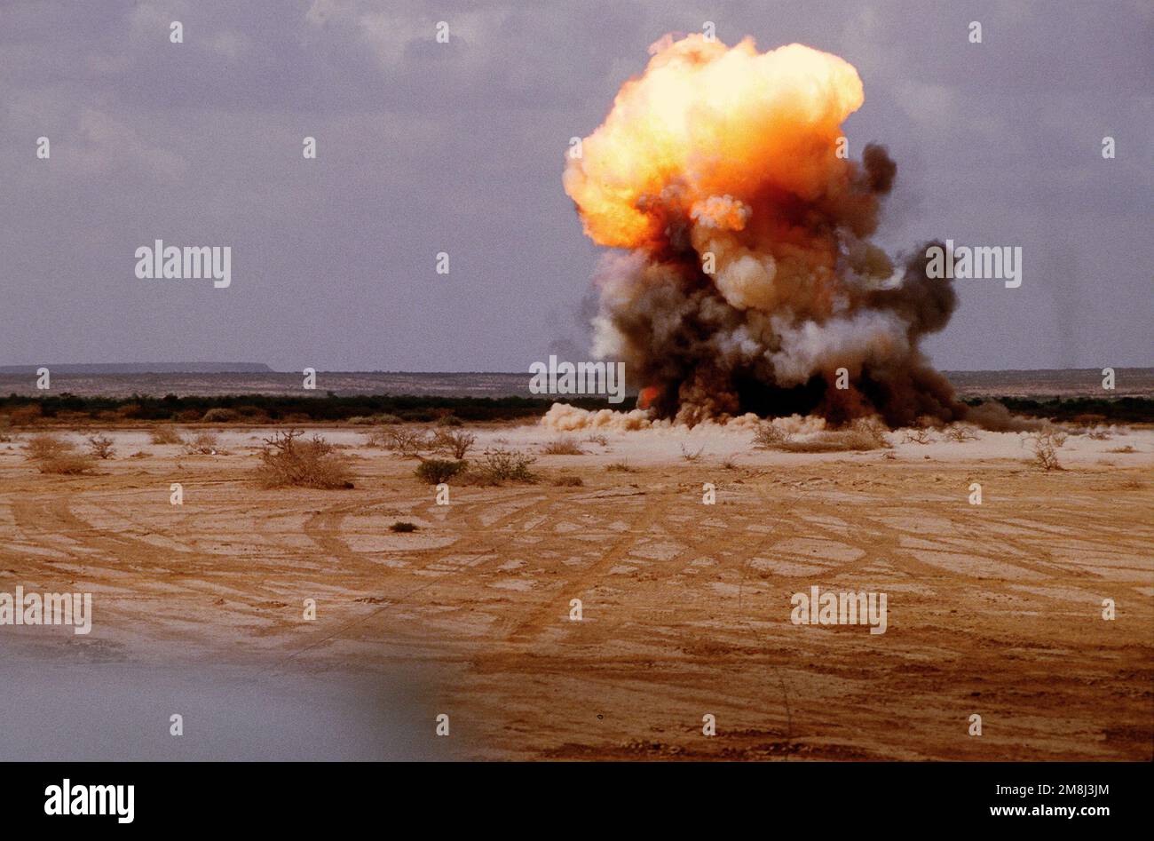 Thirty pounds of confiscated dynamite is detonated by German soldiers on the outskirts of Belet Weyne. The Germans are of the UN contingent supporting Operation CONTINUE HOPE. Subject Operation/Series: CONTINUE HOPE Base: Belet Uen Country: Somalia (SOM) Stock Photo