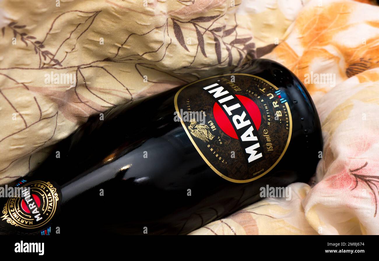 Champagne Martini Brut. Martini is a brand of Italian vermouth, named