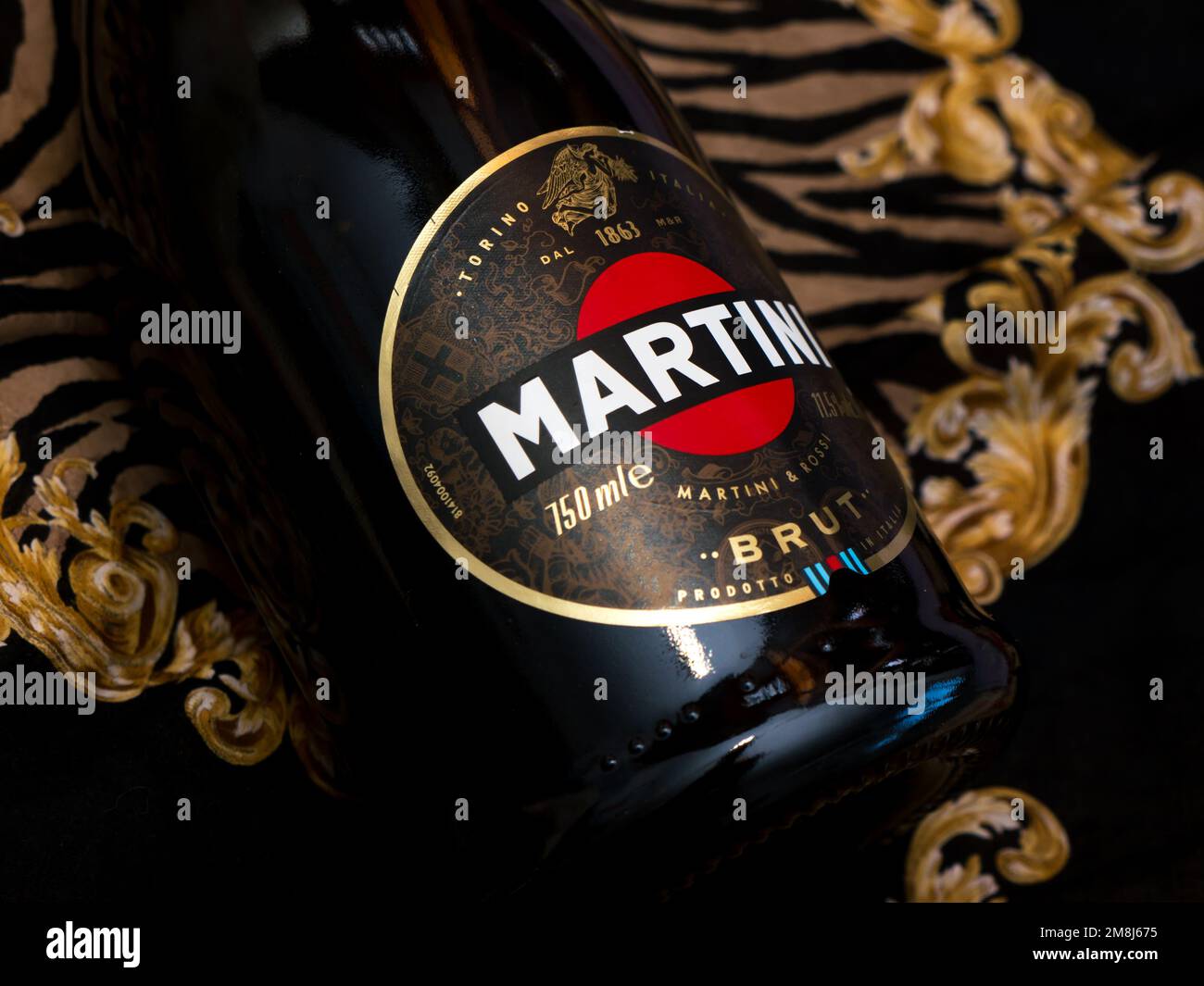 Champagne Martini Brut. Martini is a brand of Italian vermouth, named