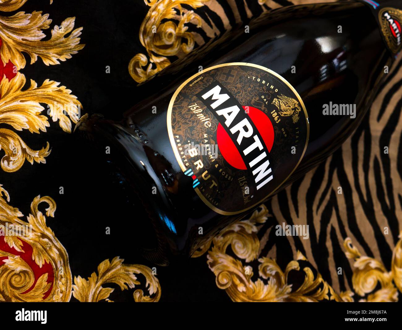 Champagne Martini Brut. Martini is a brand of Italian vermouth, named