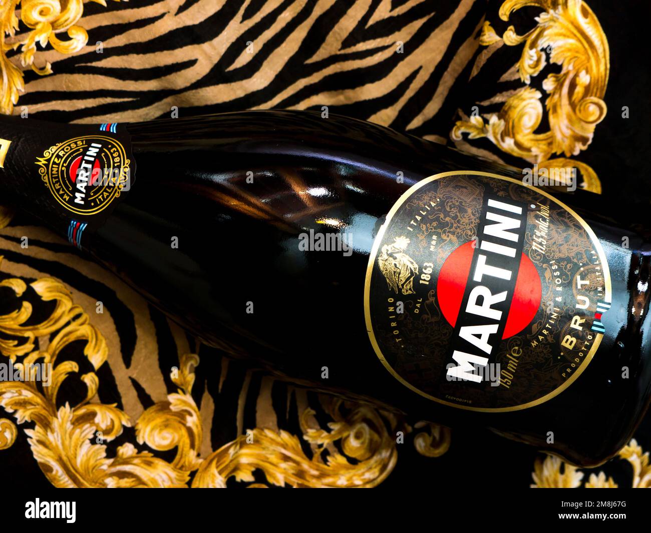 Champagne Martini Brut. Martini is a brand of Italian vermouth, named