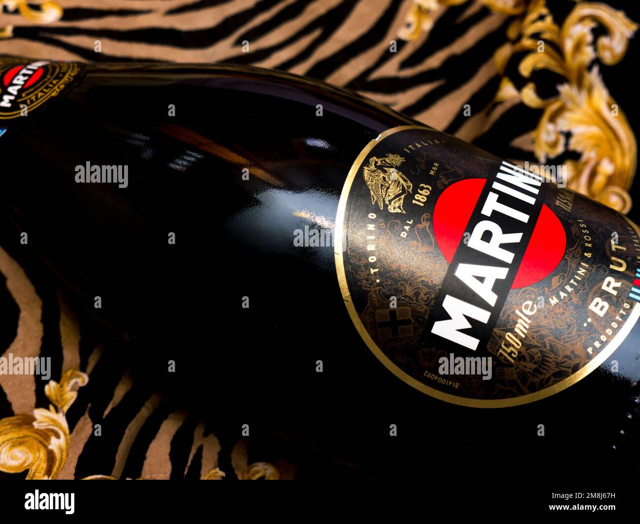 Champagne Martini Brut. Martini is a brand of Italian vermouth, named