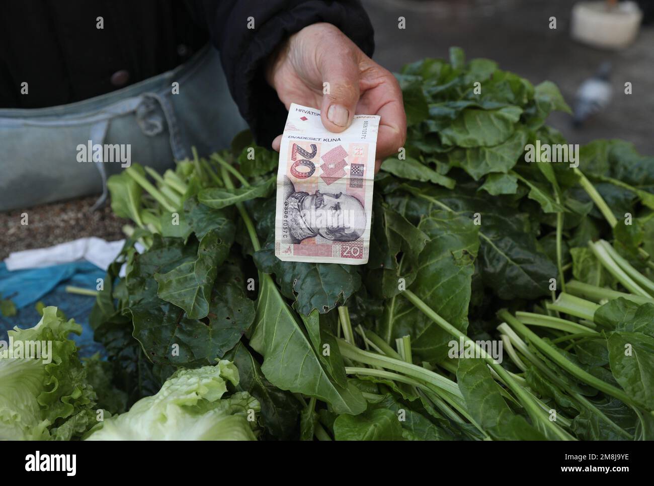 Sibenik, Croatia. 14th Jan, 2023. Illustration for paying a vegetables