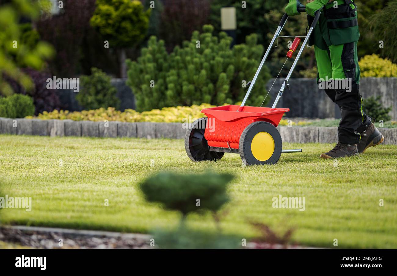 Grass Lawn Seeding Spreader Job. Professional Gardener Pushing