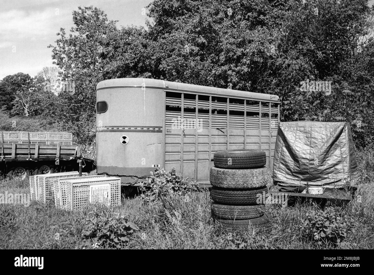 An empty horse trailer nestled between vegetable crates, tires and farm