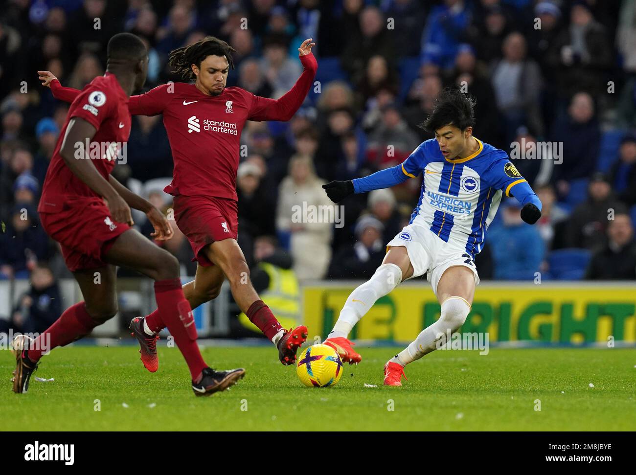 Brighton and Hove Albion's Kaoru Mitoma (right) and Liverpool's Trent ...