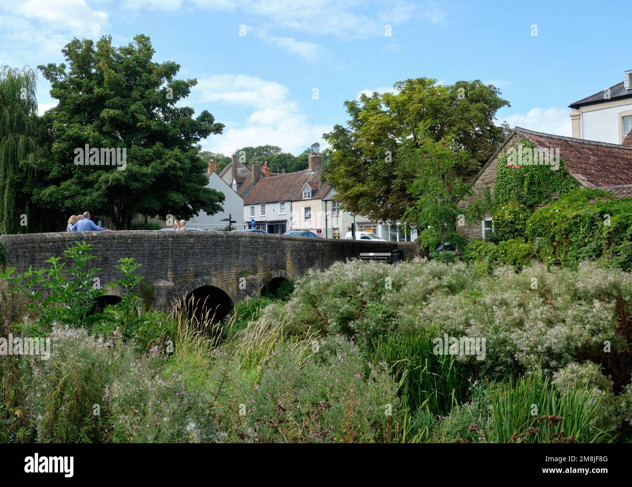 Bridge over the River Brue Bruton Stock Photo Alamy