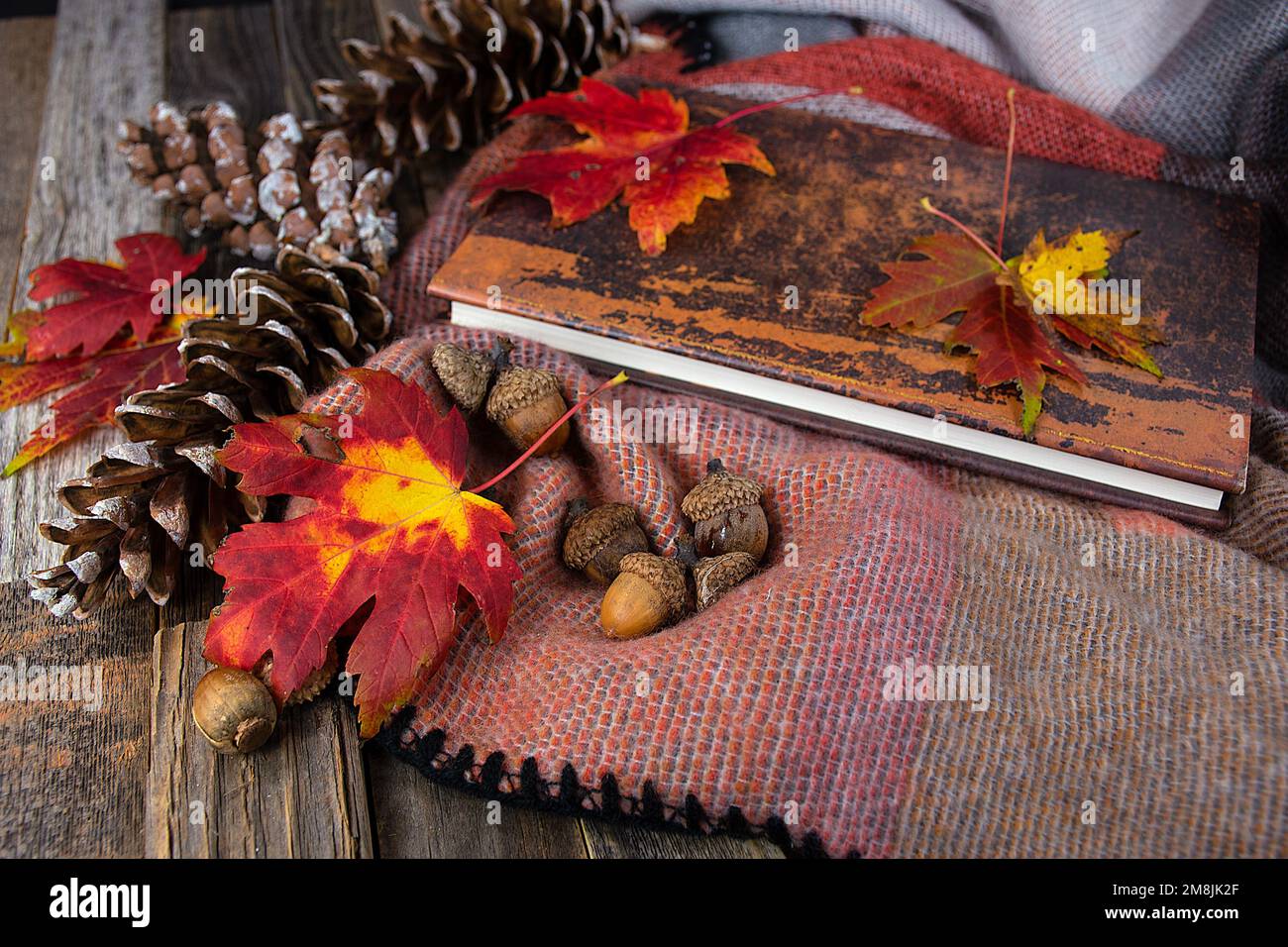 Book, acorns, pine cones, and autumn maple leaves on a soft blanket Stock Photo