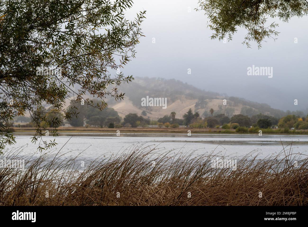 Panoramic view of the lake at Lagoon Valley Park in Vacaville, California, USA, on a overast, rainy day with copy-space Stock Photo