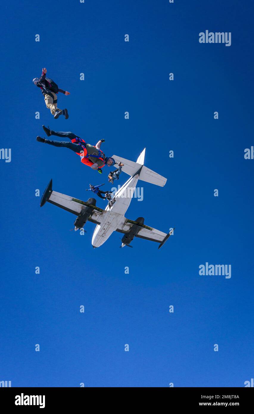 Skydivers jumping out of planes Stock Photo Alamy
