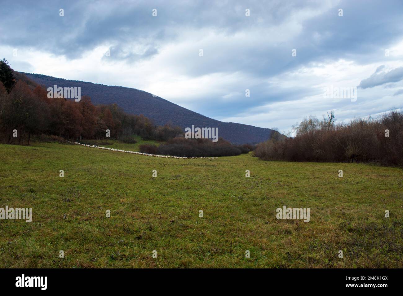 The landscape view of the deciduous trees and hills against a clouded sky in Sarajevo Stock Photo