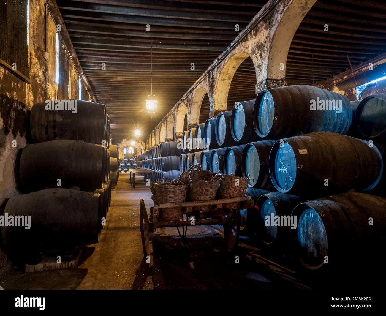 Wooden barrels in the Puerto de Santa Maria wine cellar Stock Photo Alamy