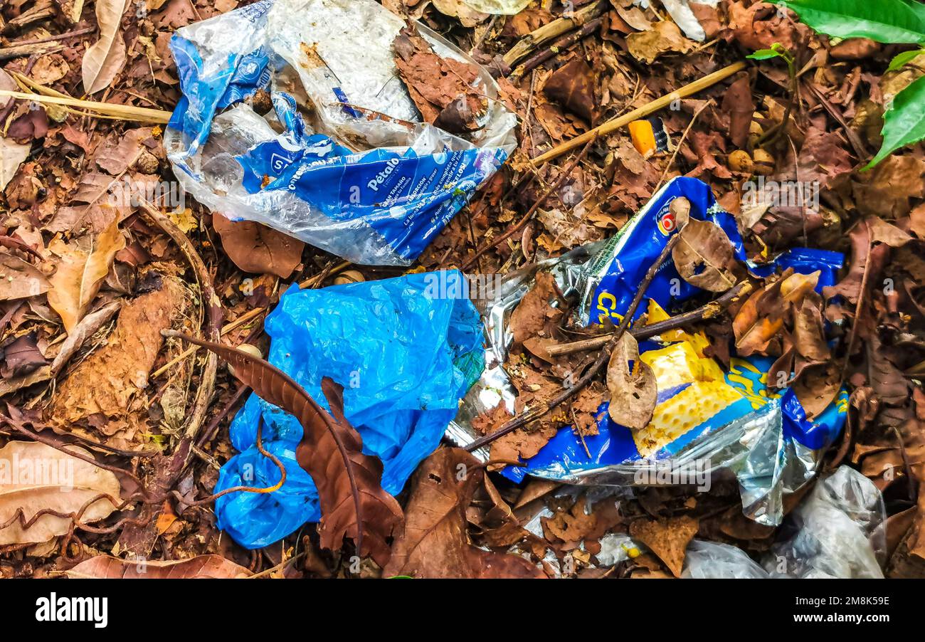 Garbage waste litter and pollution in nature in Playa del Carmen