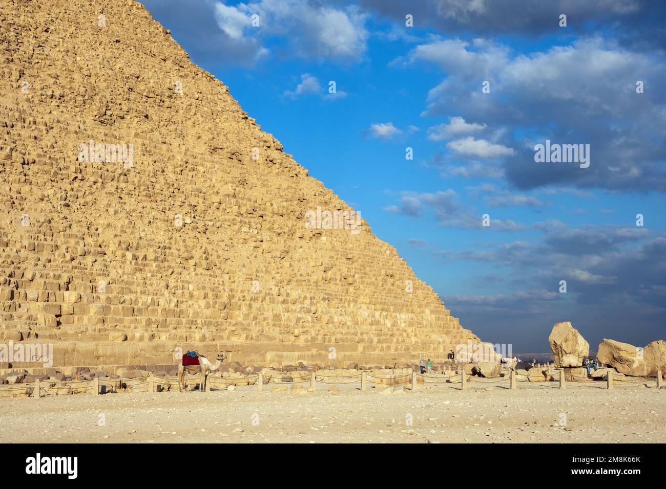 Camel near pyramid of Khafre or of Chephren the second tallest and second largest of the 3 Ancient Egyptian Pyramids of Giza Stock Photo