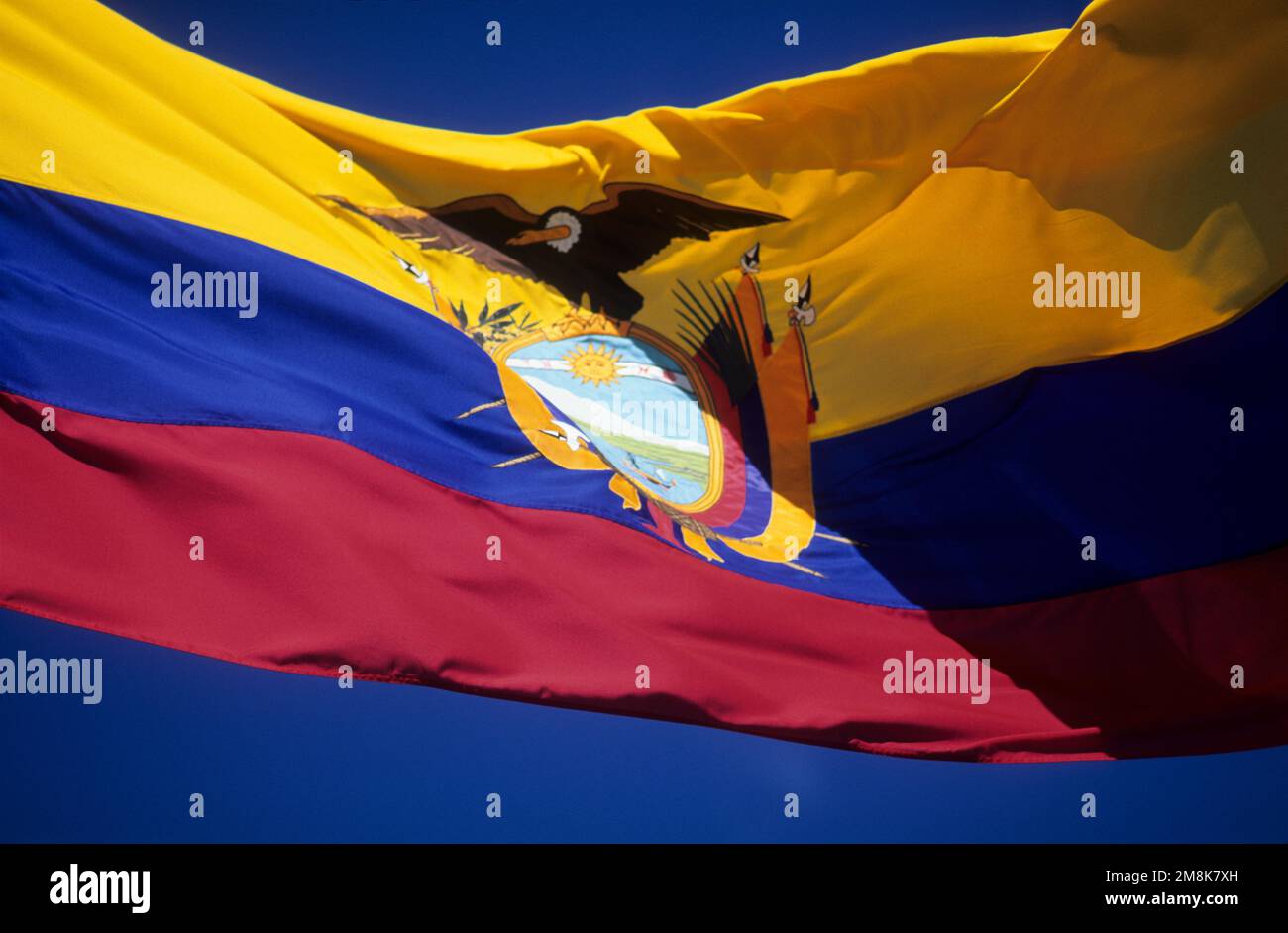 The national flag/colours of Ecuador. Stock Photo