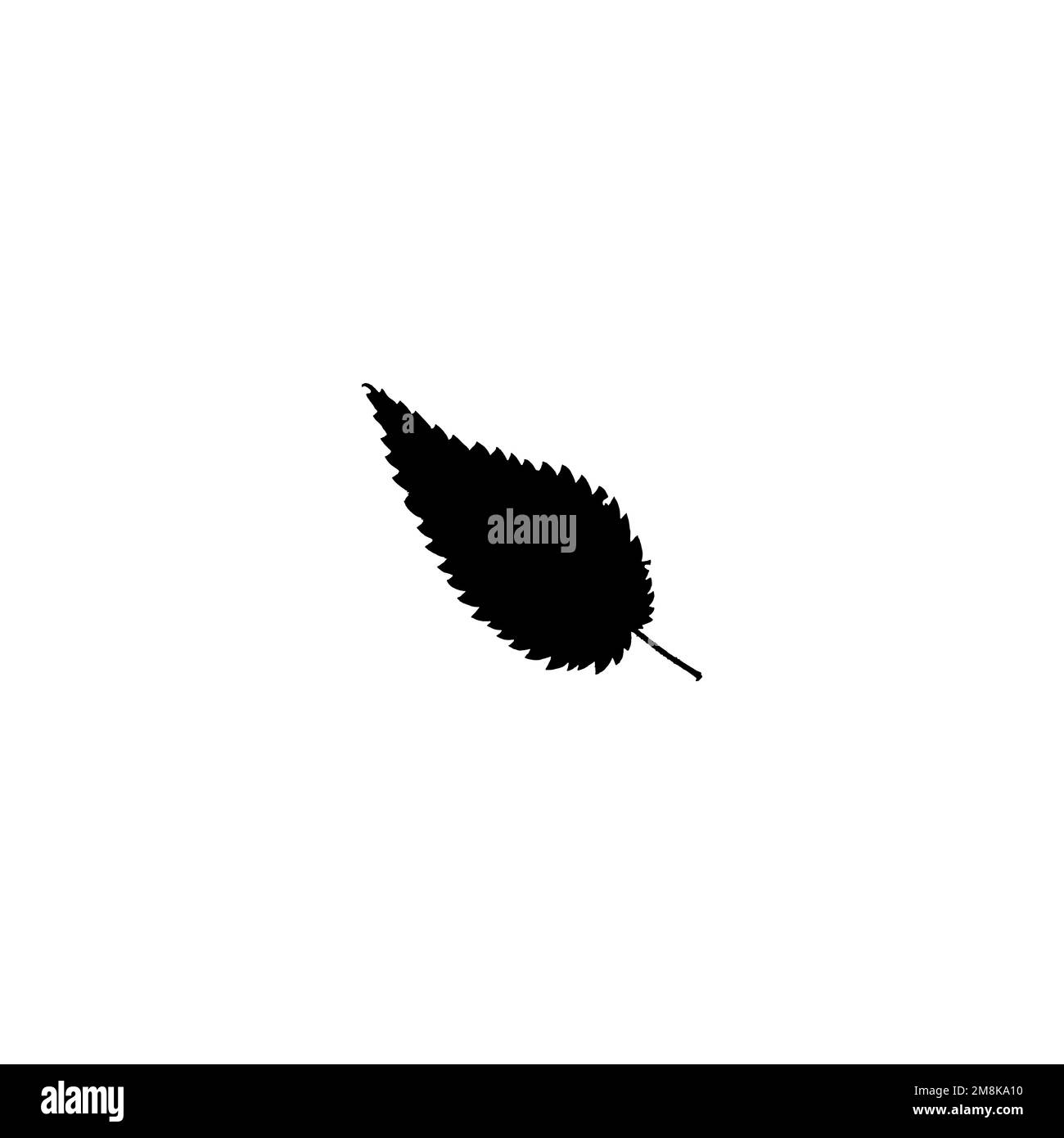 Nettle leaf icon. Simple style herbal