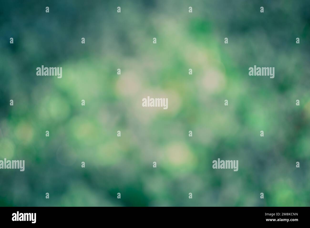 Dark green gradient hi-res stock photography and images - Alamy